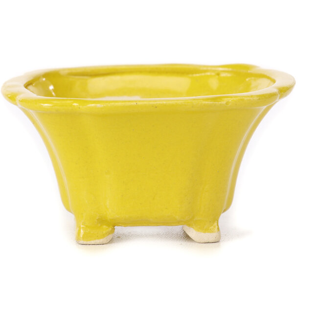 Maceta de bonsái amarilla cuadrada de Seto - 90 x 90 x 45 mm