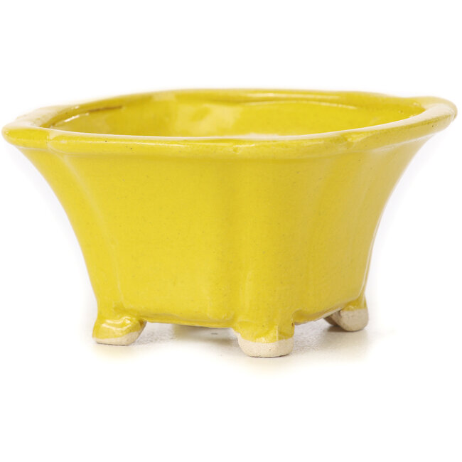 Maceta de bonsái amarilla cuadrada de Seto - 90 x 90 x 45 mm