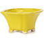 Pot à bonsaï carré jaune par Seto - 90 x 90 x 45 mm