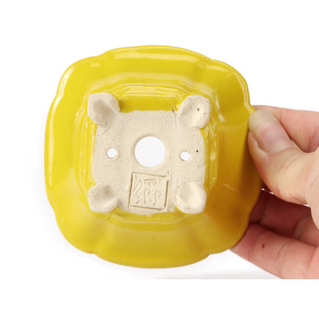 Pot à bonsaï carré jaune par Seto - 90 x 90 x 45 mm