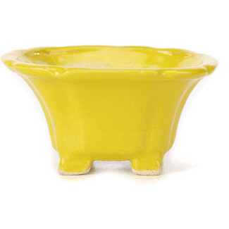 Seto Pot à bonsaï carré jaune 95 mm par Seto, Japon