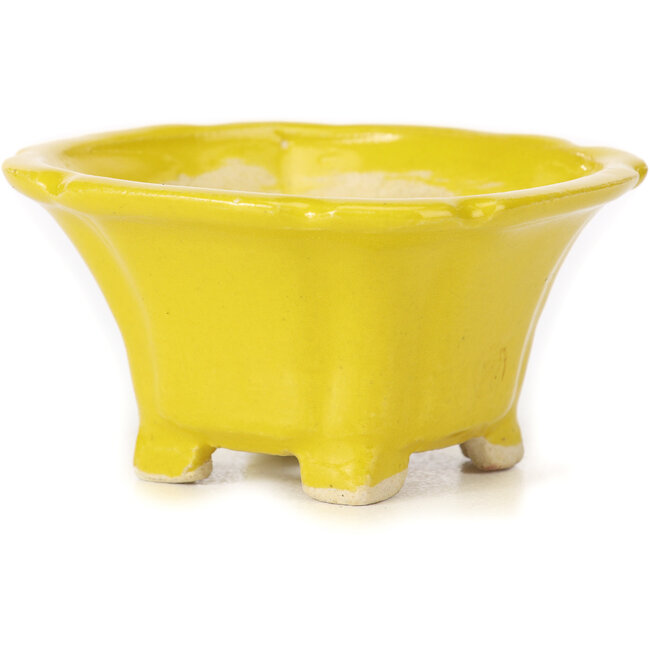 Vaso bonsai quadrato giallo di Seto - 95 x 95 x 50 mm