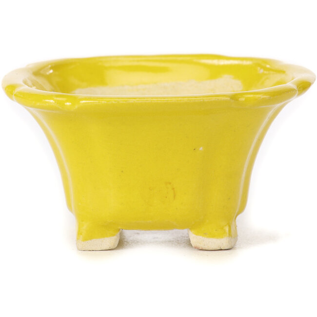 Vierkante gele bonsaipot van Seto - 95 x 95 x 50 mm