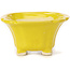 Square yellow bonsai pot by Seto - 95 x 95 x 50 mm