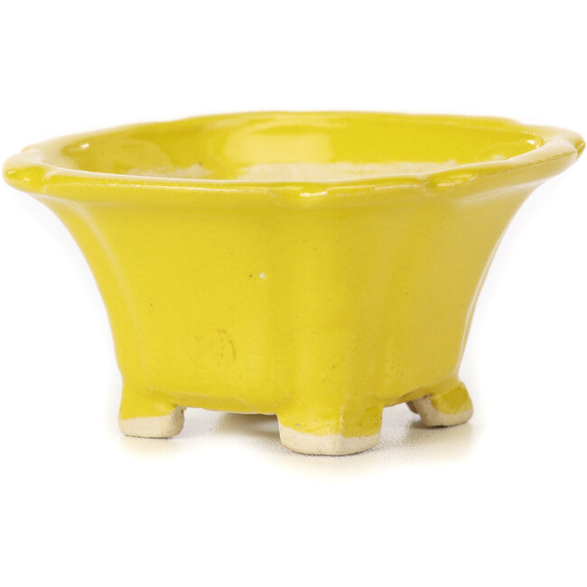 Maceta de bonsái amarilla cuadrada de Seto - 95 x 95 x 50 mm