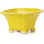 Pot à bonsaï carré jaune par Seto - 95 x 95 x 50 mm
