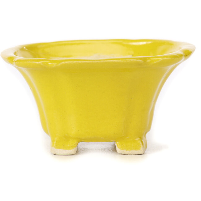 Vaso bonsai quadrato giallo di Seto - 95 x 95 x 50 mm
