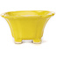 Pot à bonsaï carré jaune par Seto - 95 x 95 x 50 mm