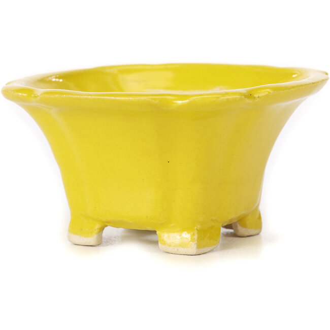 Vaso bonsai quadrato giallo di Seto - 95 x 95 x 50 mm