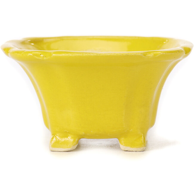 Vaso bonsai quadrato giallo di Seto - 95 x 95 x 50 mm