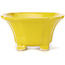 Pot à bonsaï carré jaune par Seto - 95 x 95 x 50 mm