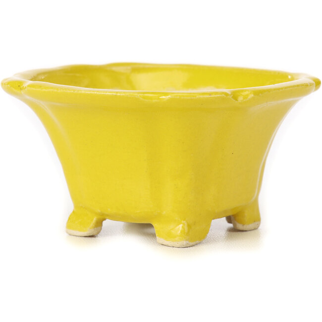 Pot à bonsaï carré jaune par Seto - 95 x 95 x 50 mm