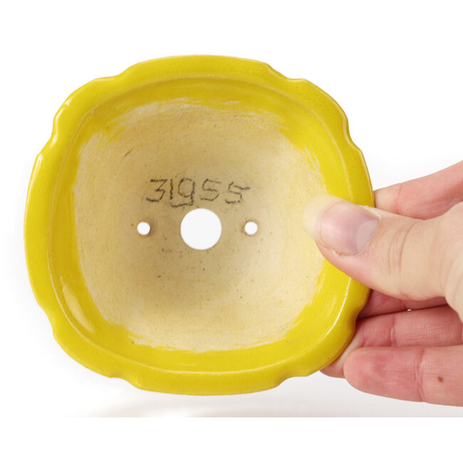Square yellow bonsai pot by Seto - 95 x 95 x 50 mm