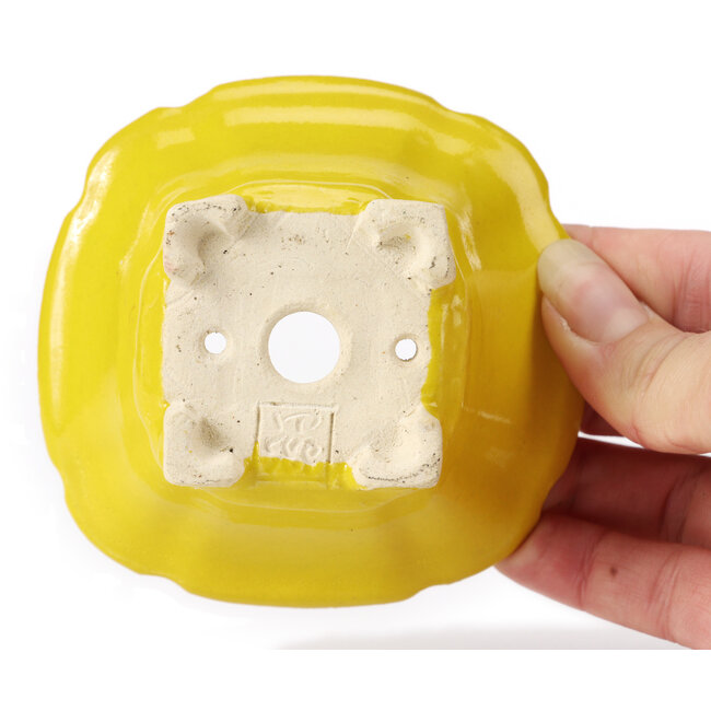 Vaso bonsai quadrato giallo di Seto - 95 x 95 x 50 mm