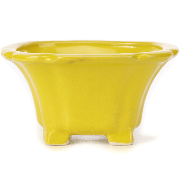Pot à bonsaï carré jaune par Seto - 90 x 90 x 45 mm
