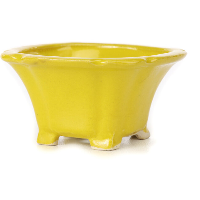 Quadratische gelbe Bonsaischale von Seto - 90 x 90 x 45 mm