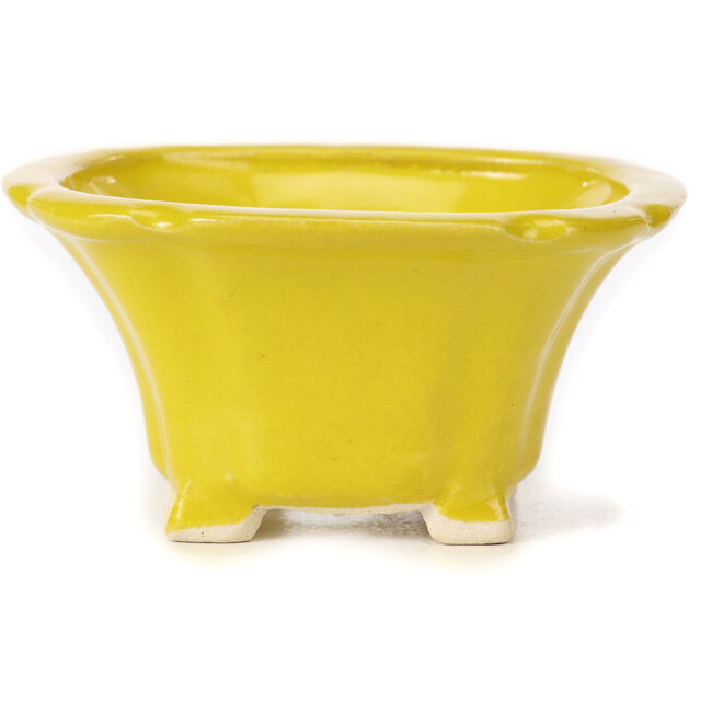Pot à bonsaï carré jaune par Seto - 90 x 90 x 45 mm