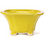 Square yellow bonsai pot by Seto - 90 x 90 x 45 mm