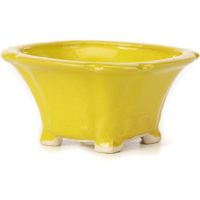 Vaso bonsai quadrato giallo di Seto - 90 x 90 x 45 mm