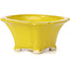 Pot à bonsaï carré jaune par Seto - 90 x 90 x 45 mm