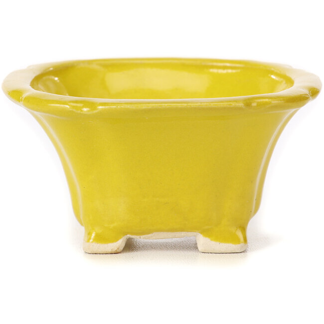 Vierkante gele bonsaipot van Seto - 90 x 90 x 45 mm