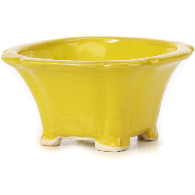 Quadratische gelbe Bonsaischale von Seto - 90 x 90 x 45 mm
