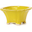 Pot à bonsaï carré jaune par Seto - 90 x 90 x 45 mm