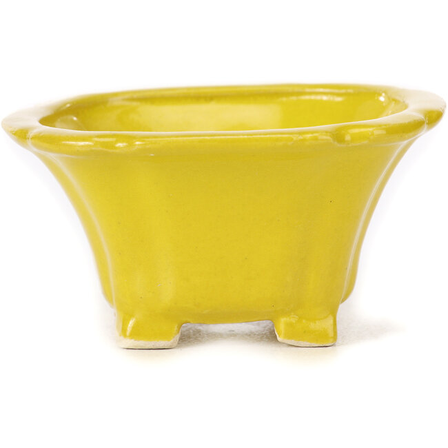 Pot à bonsaï carré jaune par Seto - 90 x 90 x 45 mm