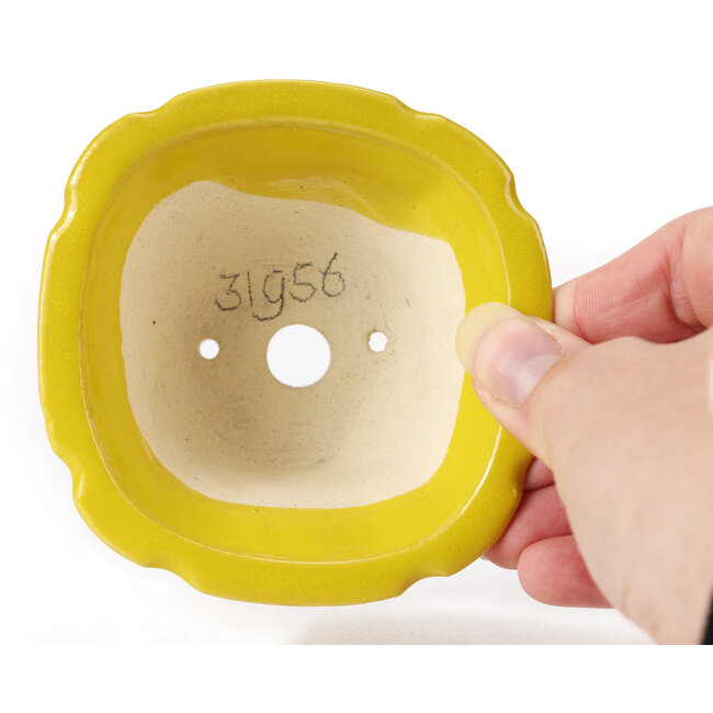 Pot à bonsaï carré jaune par Seto - 90 x 90 x 45 mm