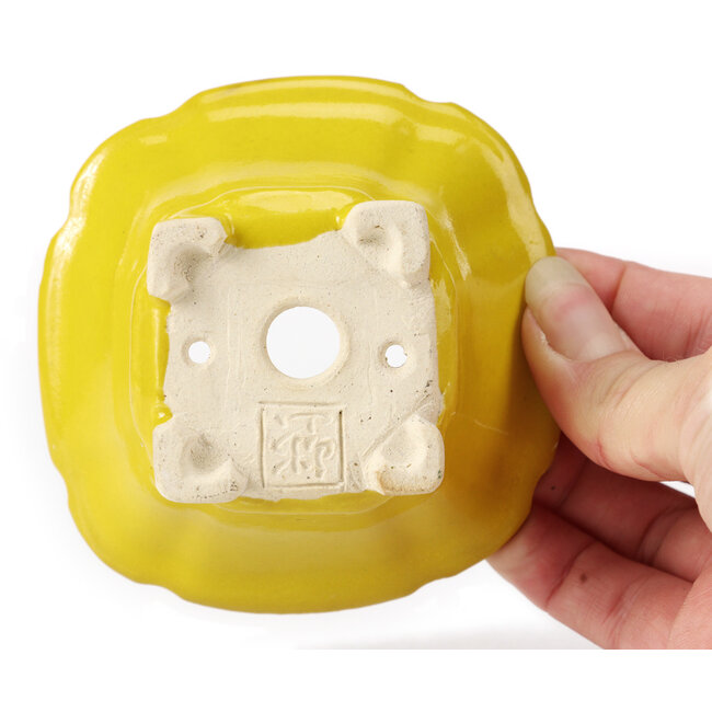 Square yellow bonsai pot by Seto - 90 x 90 x 45 mm
