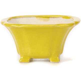 Seto Pot à bonsaï carré jaune 90 mm par Seto, Japon