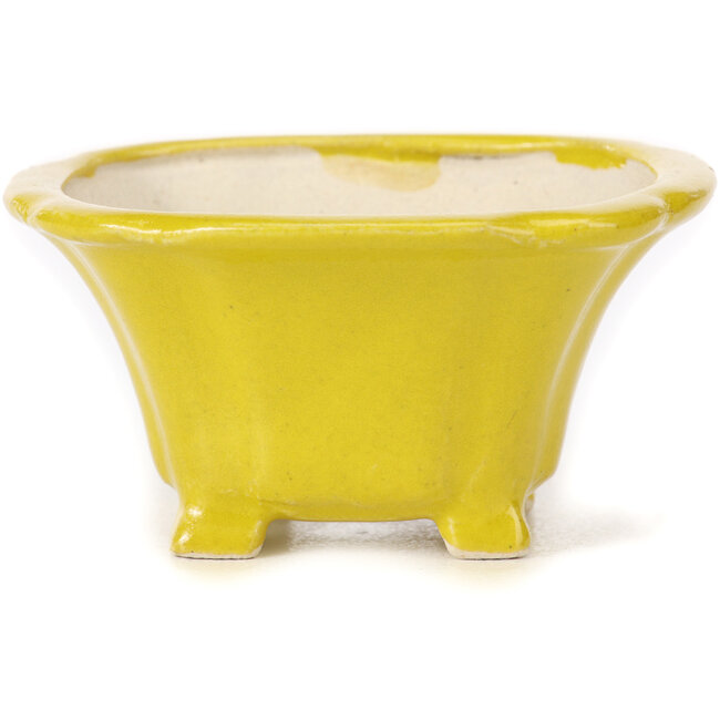 Maceta de bonsái amarilla cuadrada de Seto - 90 x 90 x 50 mm