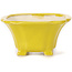 Pot à bonsaï carré jaune par Seto - 90 x 90 x 50 mm