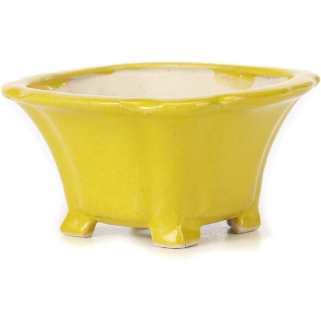 Square yellow bonsai pot by Seto - 90 x 90 x 50 mm