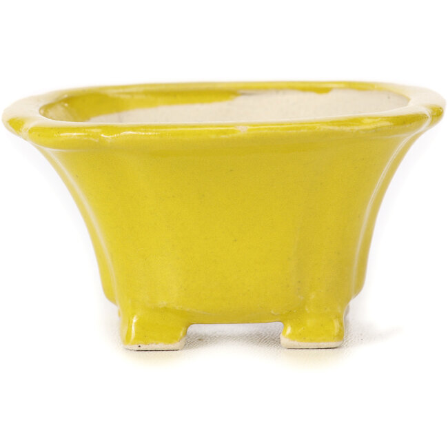 Vierkante gele bonsaipot van Seto - 90 x 90 x 50 mm