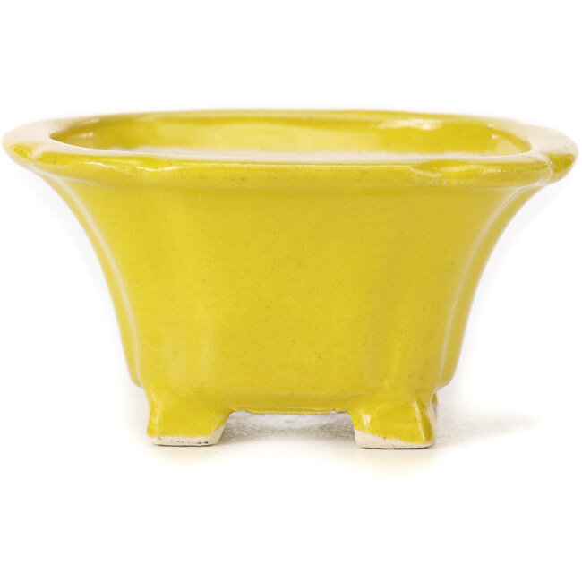 Quadratische gelbe Bonsaischale von Seto - 90 x 90 x 50 mm