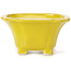Pot à bonsaï carré jaune par Seto - 90 x 90 x 50 mm
