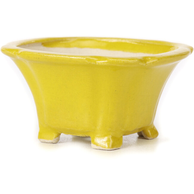 Quadratische gelbe Bonsaischale von Seto - 90 x 90 x 50 mm