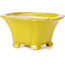Pot à bonsaï carré jaune par Seto - 90 x 90 x 50 mm