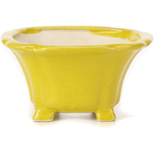 Vaso bonsai quadrato giallo di Seto - 90 x 90 x 50 mm