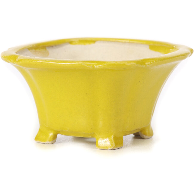 Quadratische gelbe Bonsaischale von Seto - 90 x 90 x 50 mm