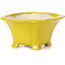 Vierkante gele bonsaipot van Seto - 90 x 90 x 50 mm
