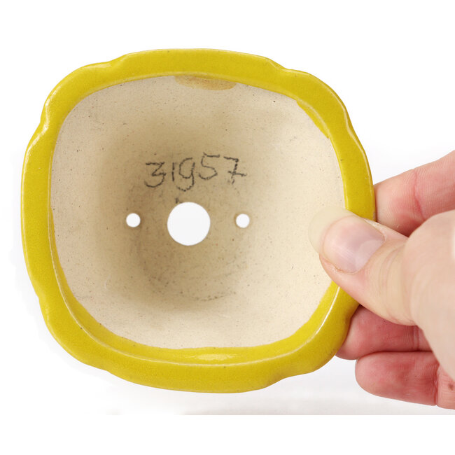 Square yellow bonsai pot by Seto - 90 x 90 x 50 mm
