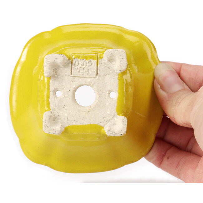 Vierkante gele bonsaipot van Seto - 90 x 90 x 50 mm