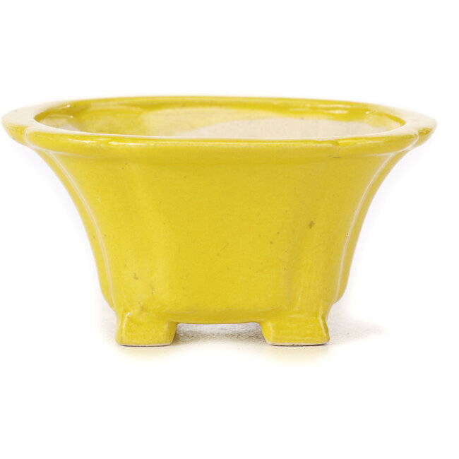 Pot à bonsaï carré jaune par Seto - 95 x 95 x 50 mm