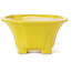 Pot à bonsaï carré jaune par Seto - 95 x 95 x 50 mm