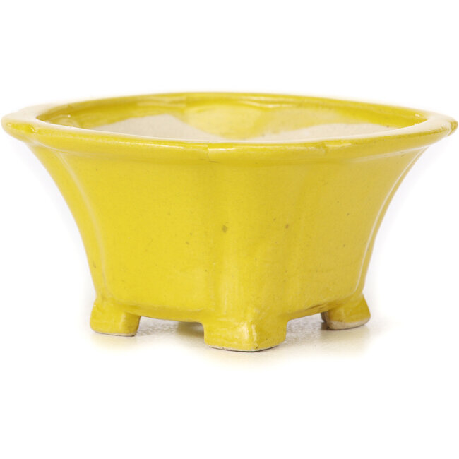 Pot à bonsaï carré jaune par Seto - 95 x 95 x 50 mm