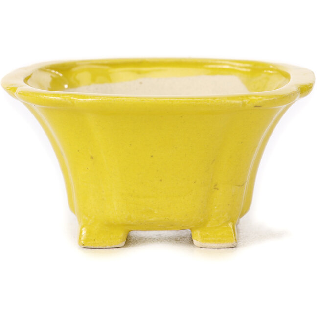 Pot à bonsaï carré jaune par Seto - 95 x 95 x 50 mm