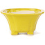 Pot à bonsaï carré jaune par Seto - 95 x 95 x 50 mm