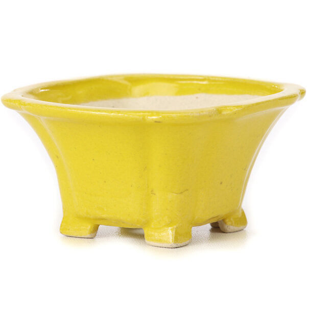 Pot à bonsaï carré jaune par Seto - 95 x 95 x 50 mm